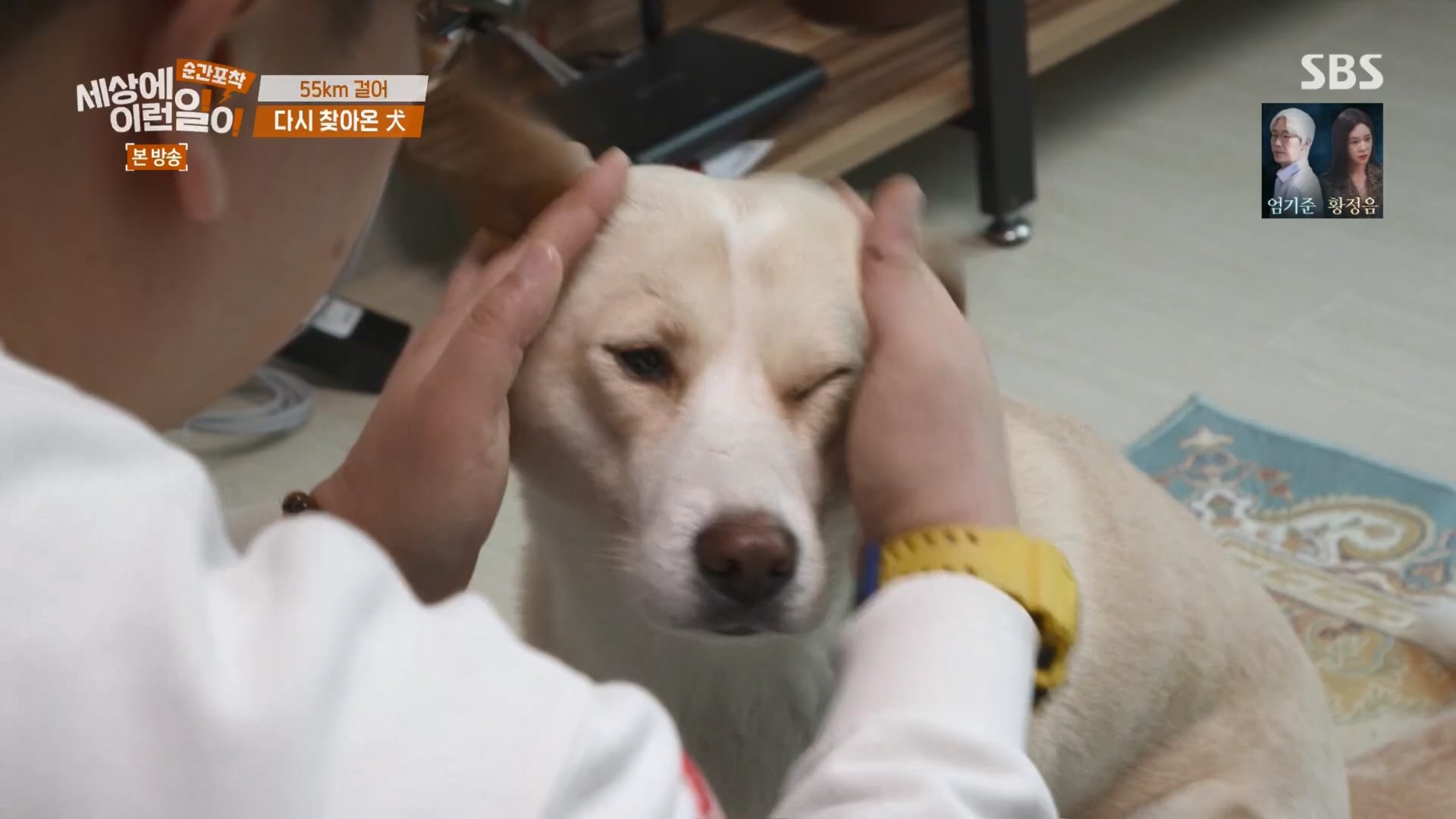 순간포착 세상에 이런일이.E1247.230923p.H264-F1RST.mp4_20230924_152708.864.jpg