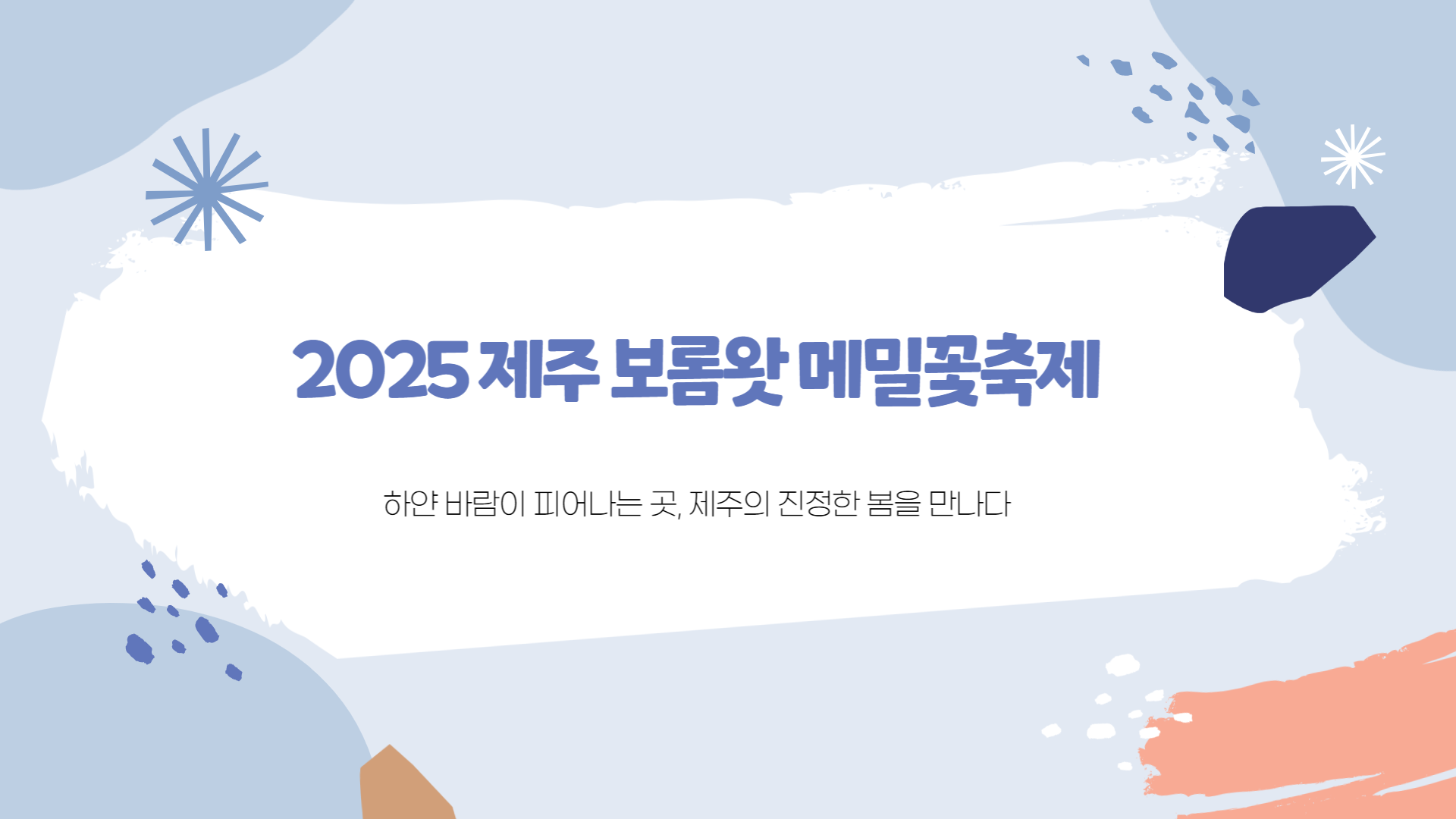 제주 보롬왓 메밀꽃 축제