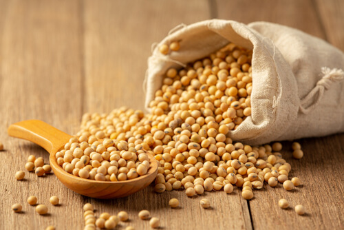 soybean-wooden-floor-soy-sauce-food