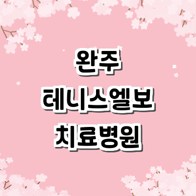 완주군 테니스엘보