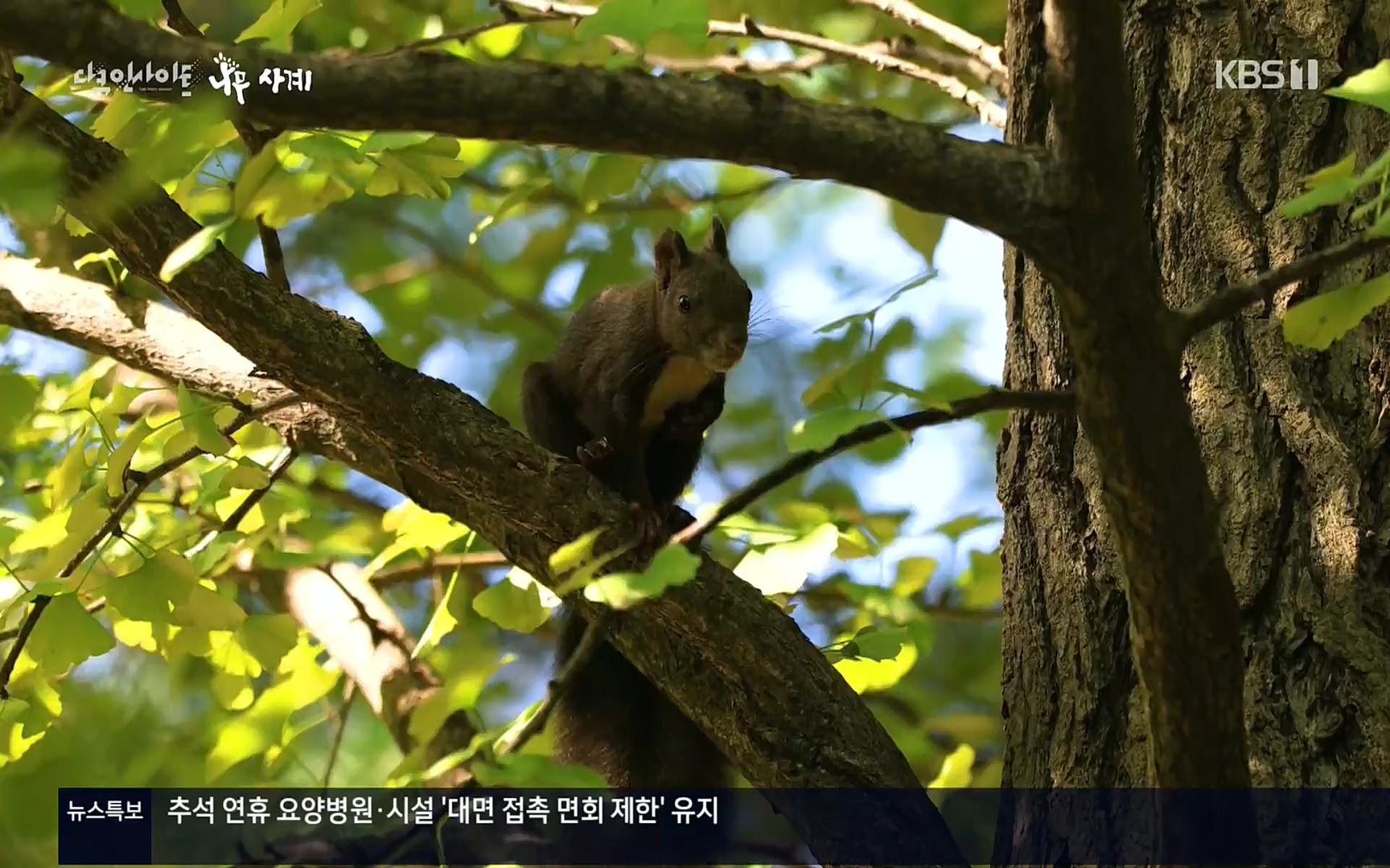 다큐 인사이트.E124.220908p.H264-F1RST.mp4_20220912_143733.324.jpg