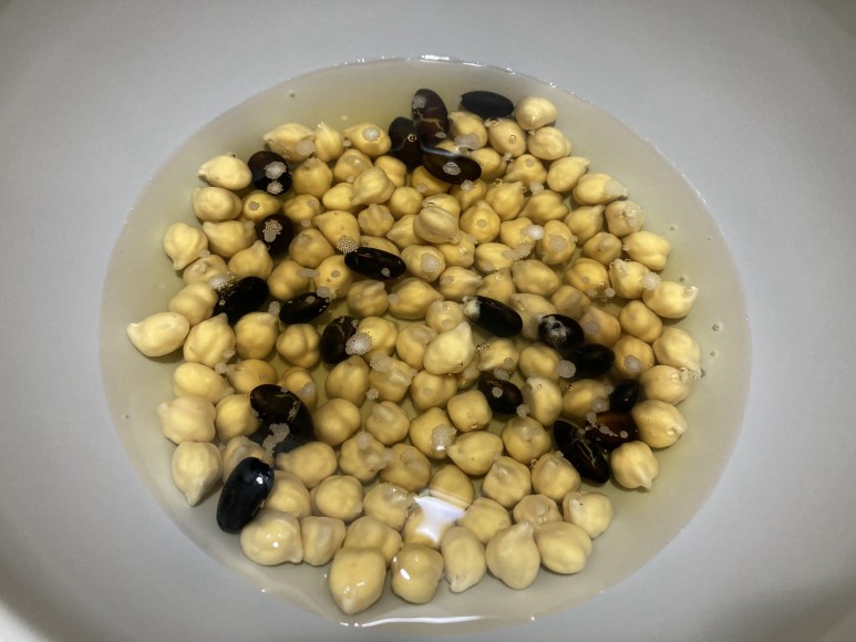 샐러드 및 삶는법 다이어트요리 :: 병아리콩 1
