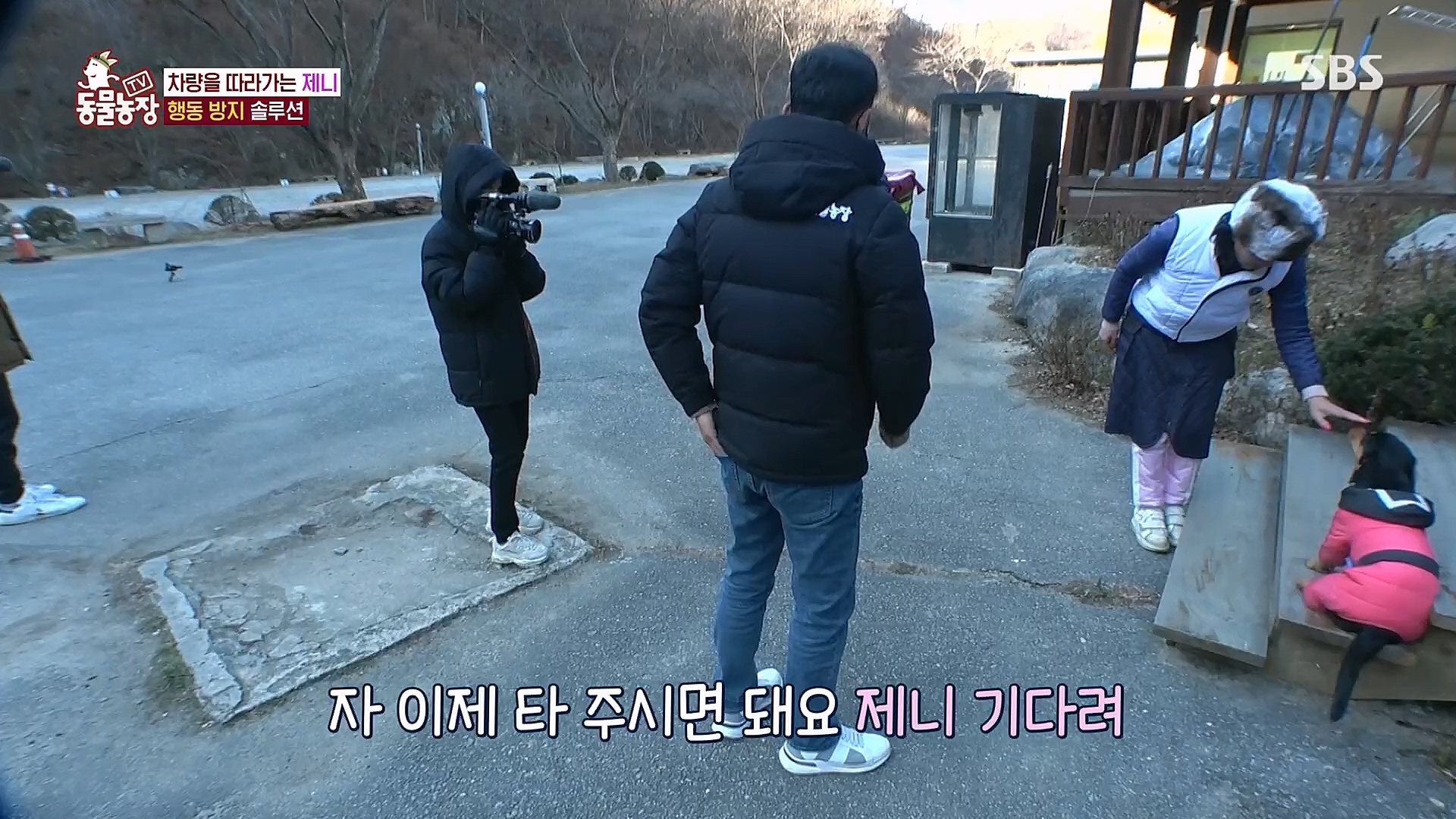 TV 동물농장.E1106.230129p.H264-F1RST.mp4_20230130_192746.726.jpg