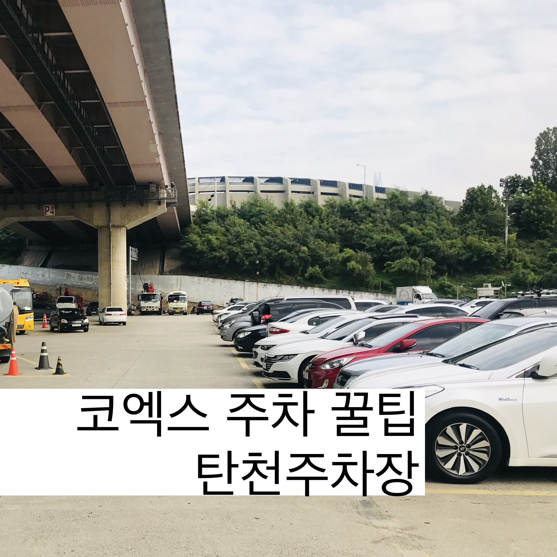  코엑스 주차 팁, 코엑스 주차요금, 탄천 주차장이 답
