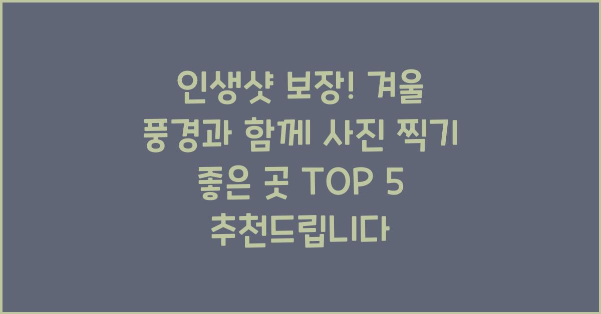 인생샷 보장! 겨울 풍경과 함께 사진 찍기 좋은 곳 TOP 5  