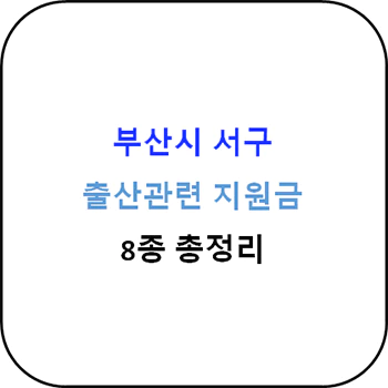  2024년 부산시 서구 출산지원금 8종 완벽가이드