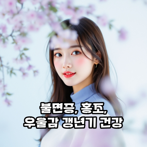 갱년기-관리-식은땀-홍조-호르몬-관리