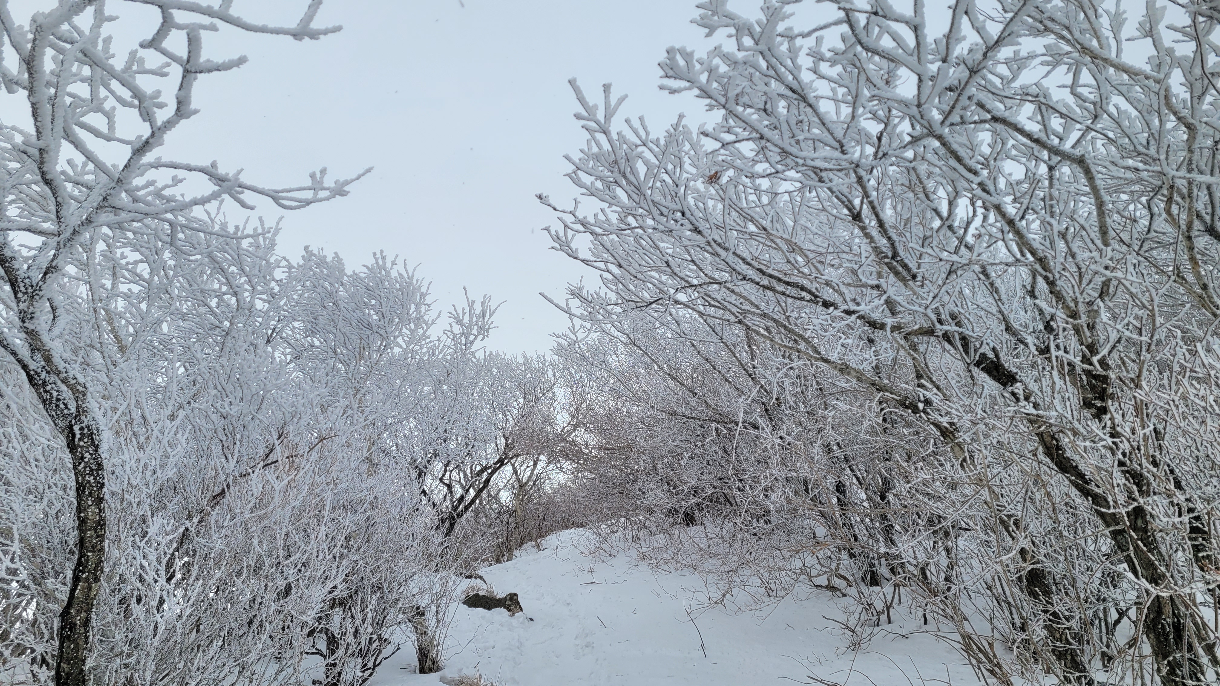 20221228_114404.jpg
