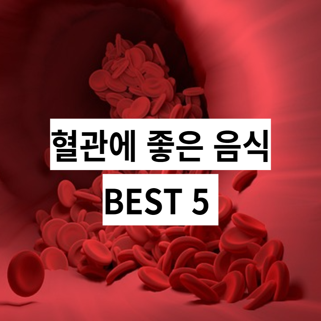 혈액 순환 증진시키는 음식 BEST 5