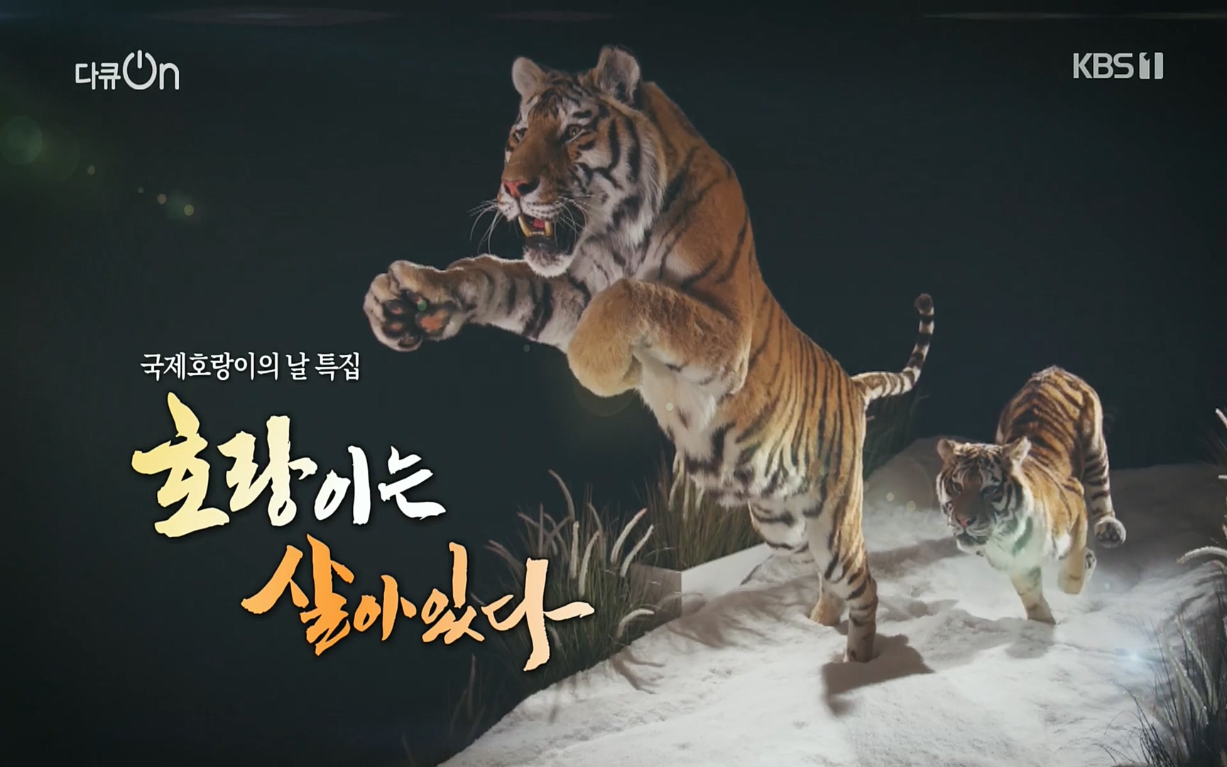 다큐 On.E150.220729p.H264-F1RST.mp4_20220730_162107.012.jpg