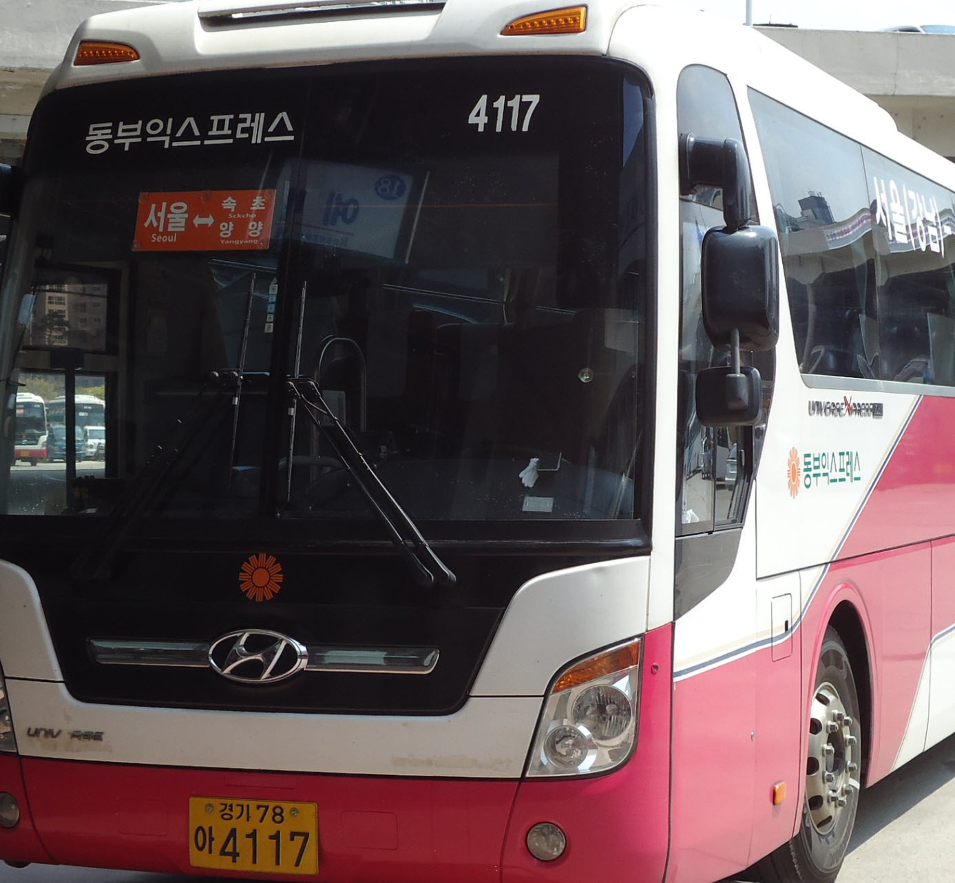 동부고속 시외버스회사 주요 노선, 고객센터 전화번호, 홈페이지, 분실물 찾는 법