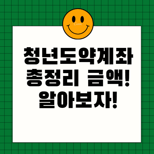  청년도약계좌 - 청년의 재정 안정과 자산 형성을 위한 정부 정책형 금융상품