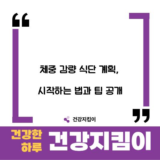 체중 감량 식단 계획