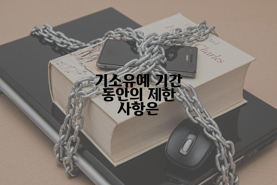 기소유예 기간 동안의 제한 사항은