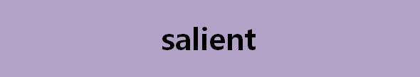 뉴스로 영어 공부하기: salient (핵심적인)