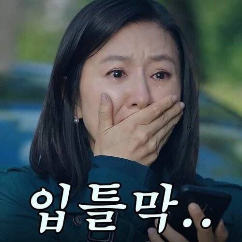  국비지원 부트캠프 프로젝트/후기/추천/소감 #2