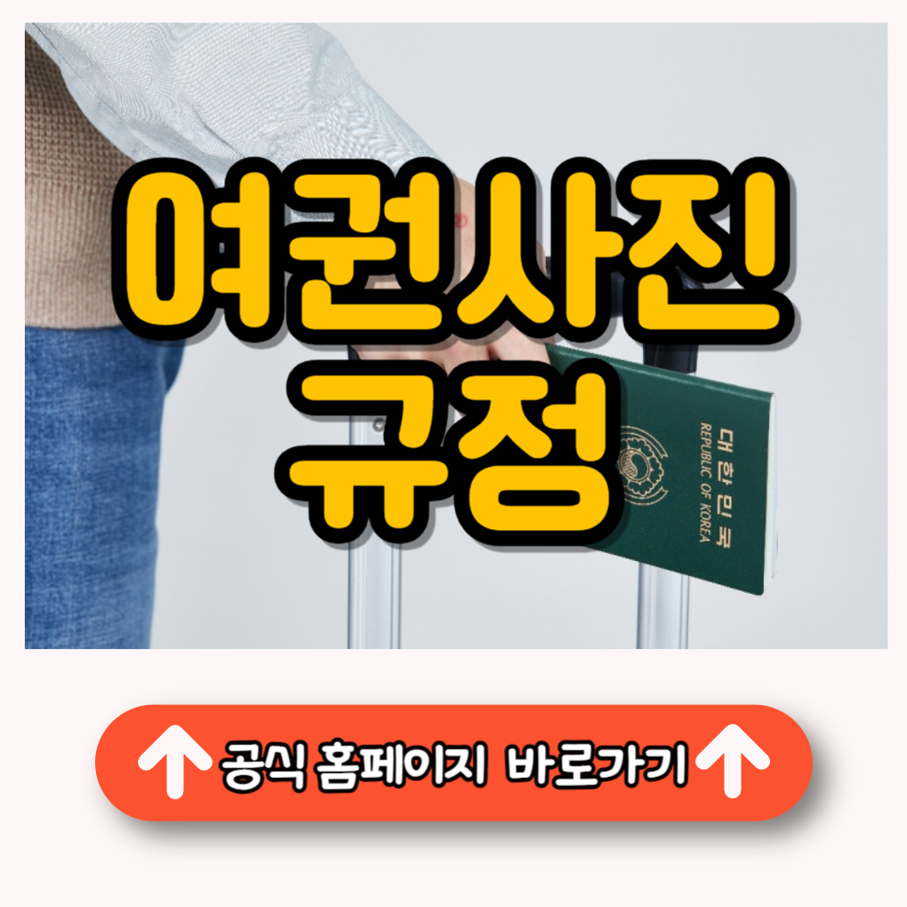 여권 사진 규정