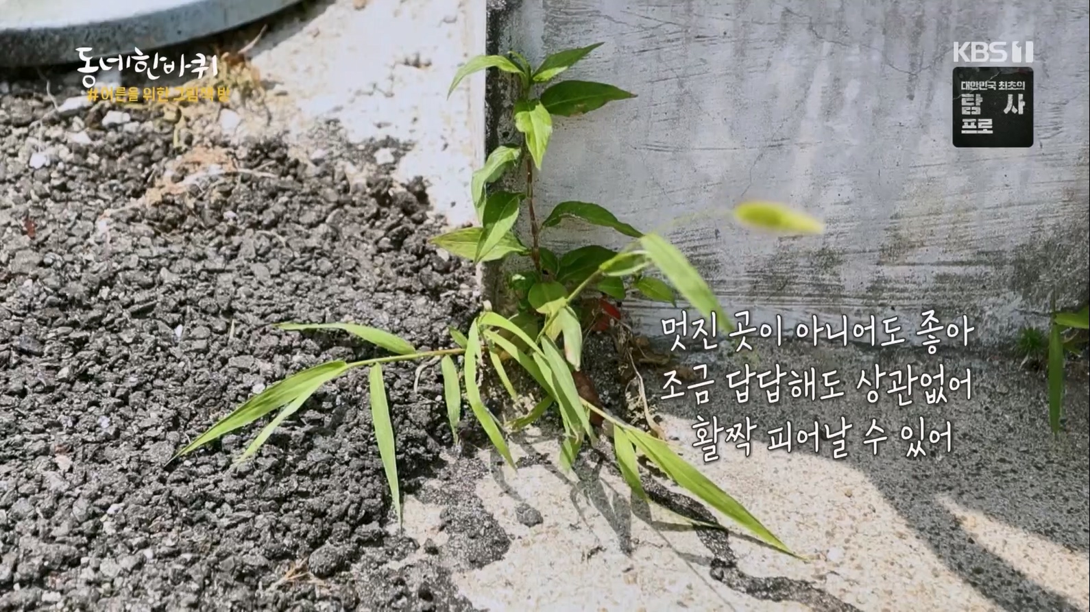 동네 한 바퀴.E226.230624p.H264-F1RST.mp4_20230627_205848.959.jpg