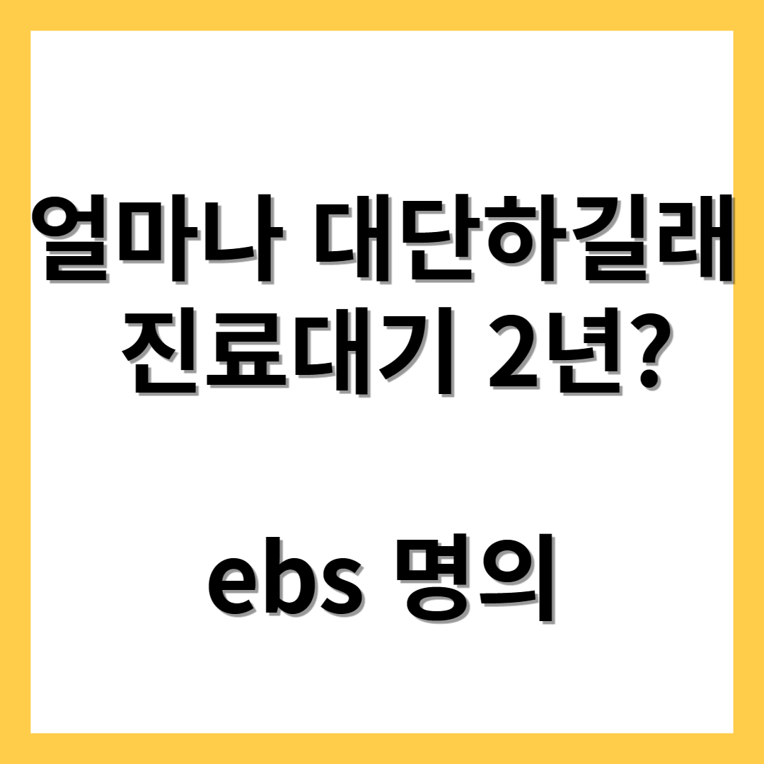  ebs 명의 허리 디스크 진료 대기만 2년 선생님