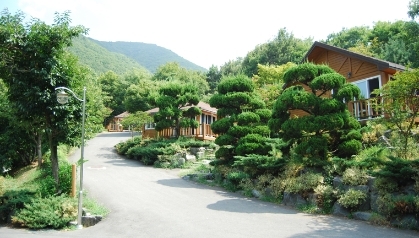 대운산 자연휴양림