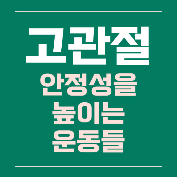  고관절 안정성을 높이는 운동들