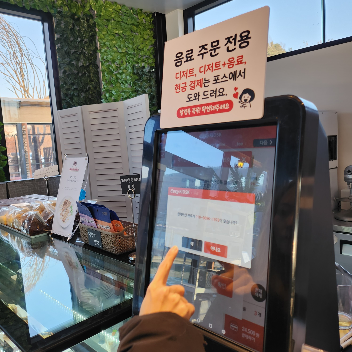 춘천 가평 메콩 카페 북한강뷰 애견동반 서울근교 대형 카페 닥터피쉬 체험