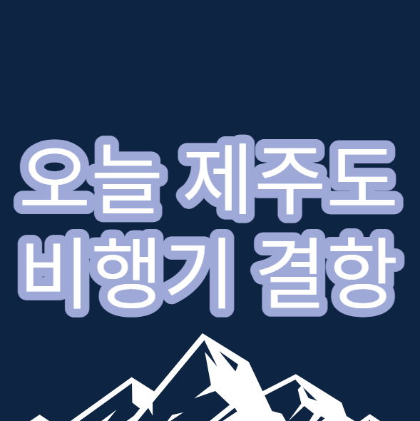  제주도 비행기 결항 (오늘 제주공항 결항정보)