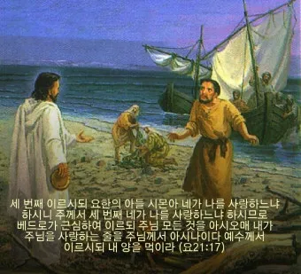 요한복음 21장 실패한 자 기도문 성경_8