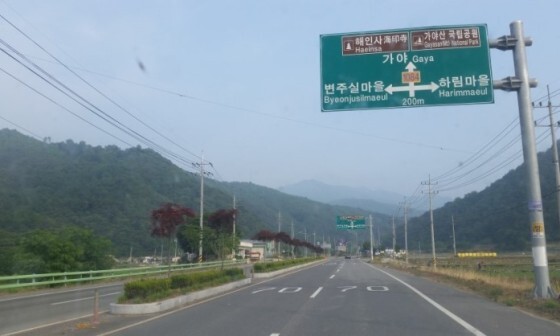 영상일기/20230216/나대자연 51