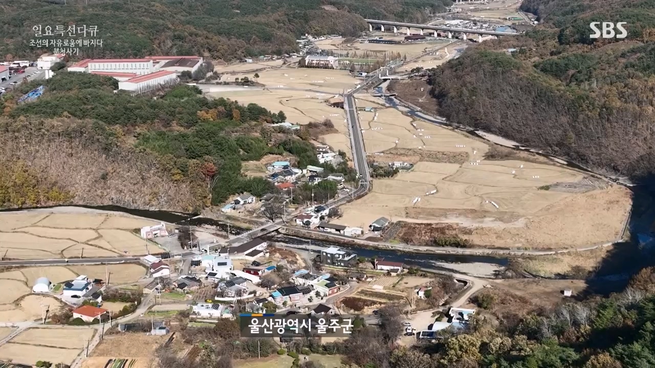 일요특선 다큐멘터리.E338.240129p-NEXT.mp4_20240129_204906.244.jpg