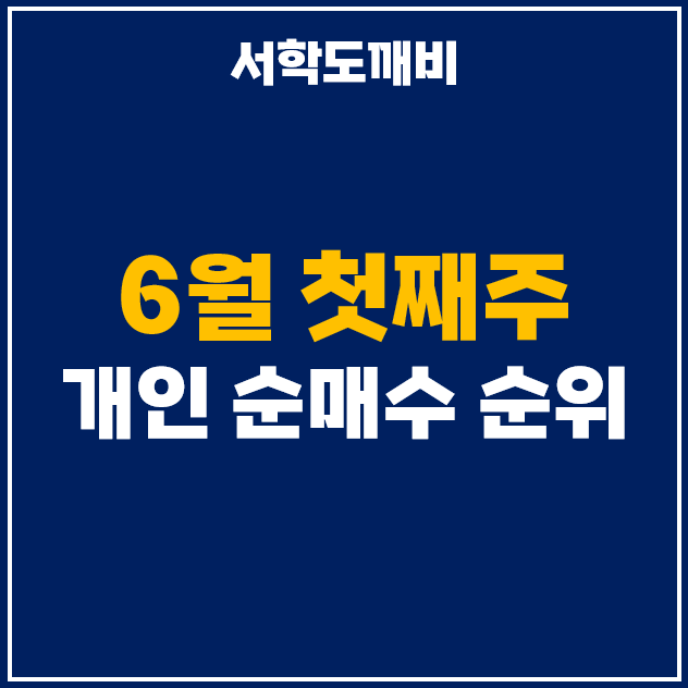  6월 첫째 주 : 개인 투자자 순매수 상위 주식 순위 및 수익률