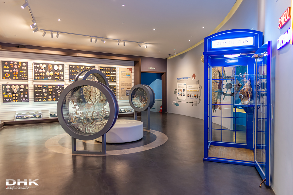 국내 1박2일 여름 여행 추천1박2일 서해 섬여행 신안 가볼만한곳 자은도 1004뮤지엄파크 세계조개박물관, 해바라기 25