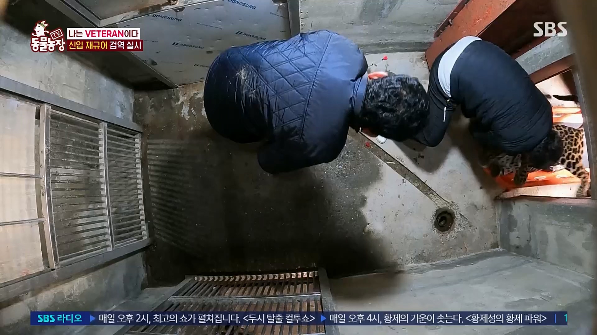 TV 동물농장.E1115.230409p.H264-F1RST.mp4_20230409_173047.242.jpg