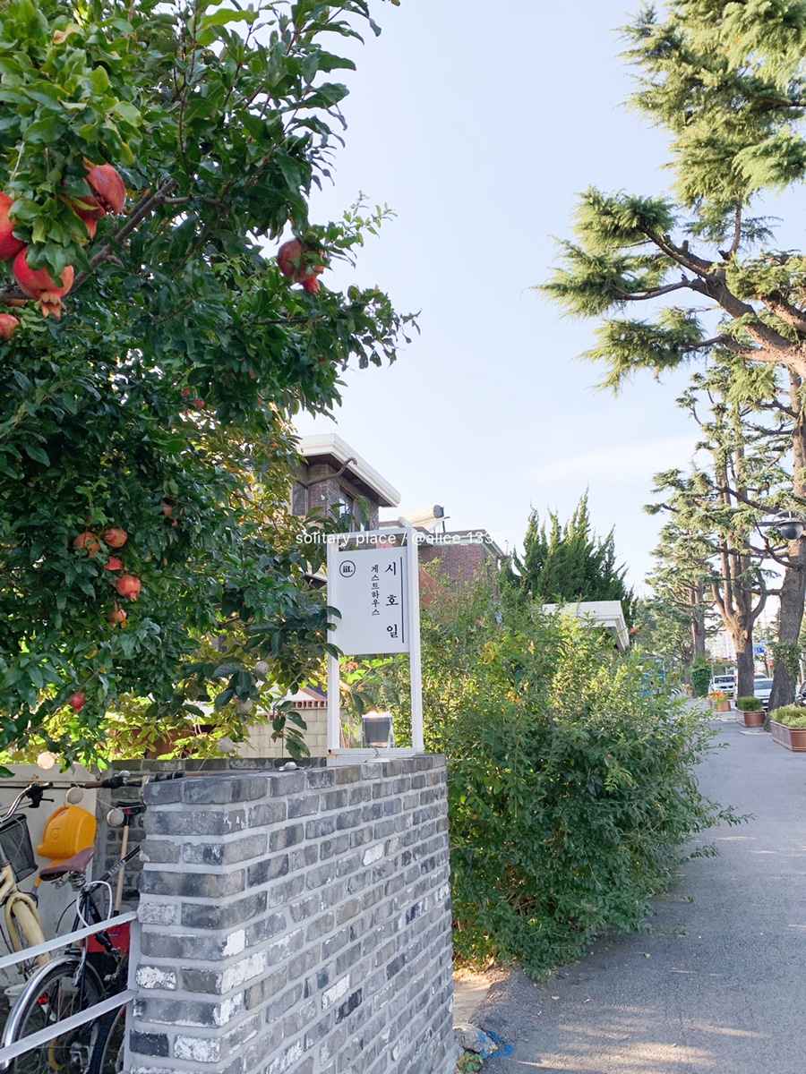 시호일 게스트하우스, 1박2일 강릉여행, 강릉자전거여행, 강릉숙소 my tastes 취향산책 ; 강릉 28