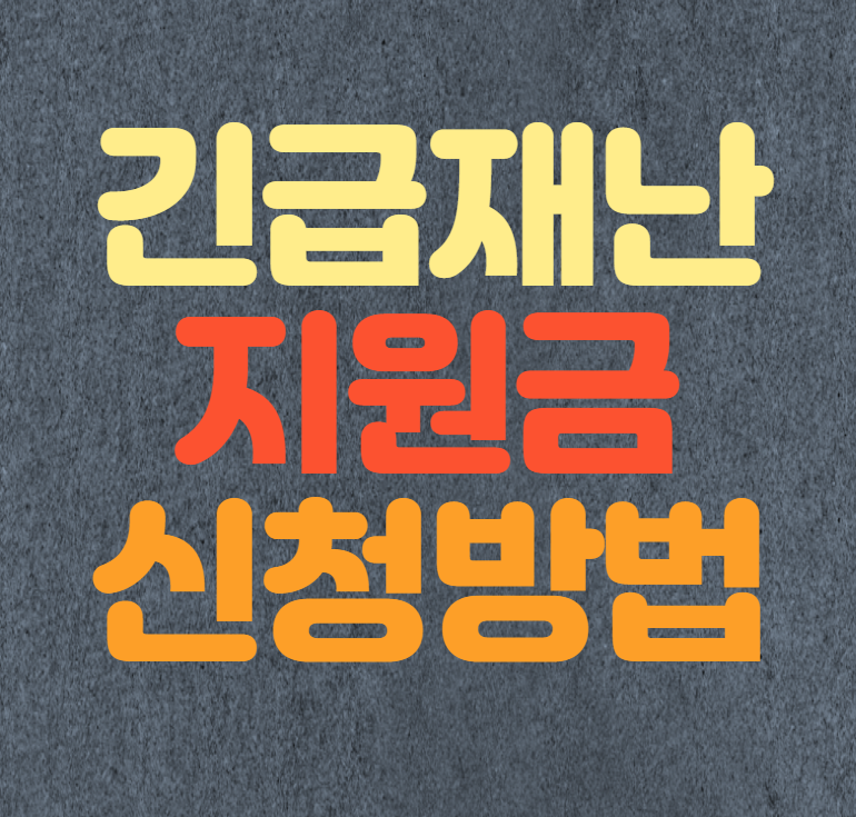  정부 긴급재난지원금 신청 방법 총정리