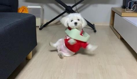 넘어질 땐 침착한 스타일ㅋㅋㅋㅋㅋㅋㅋ