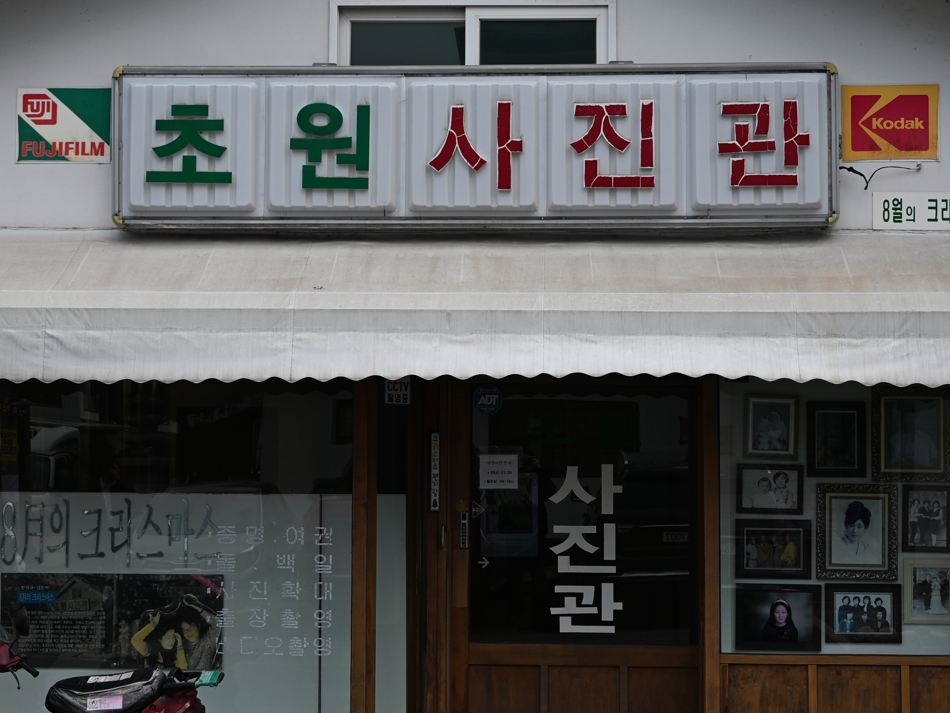 공존 이미지