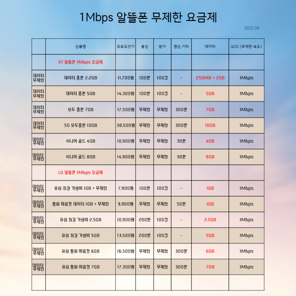 1Mbps 알뜰폰 요금제
7&#44;900원부터 38&#44;500원까지 있습니다