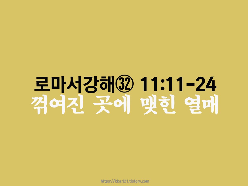  로마서 강해㉜ 11장 11-24절, 꺾여진 곳에 맺힌 열매
