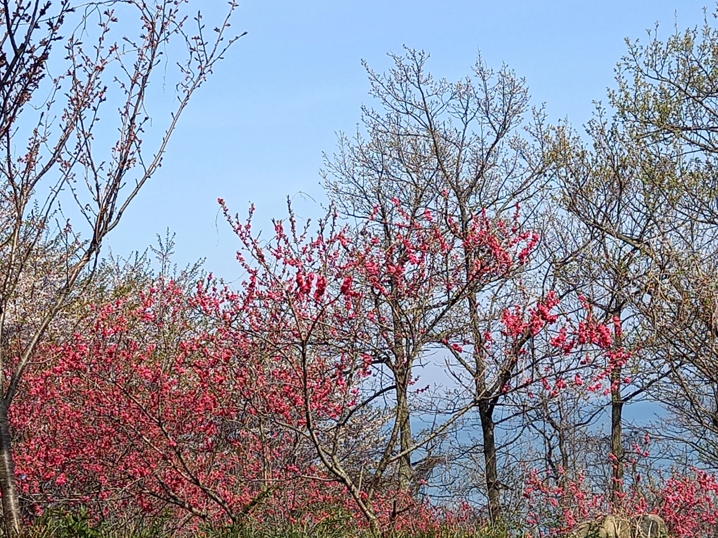 img.jpg