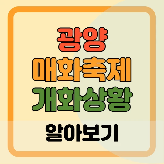 광양 매화축제 개화 상황(+실시간 CCTV) 2025