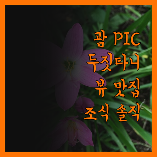 두짓타니 괌 리조트, 뷰 맛집 인정!