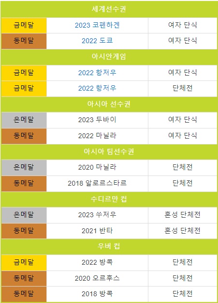 안세영-수상경력