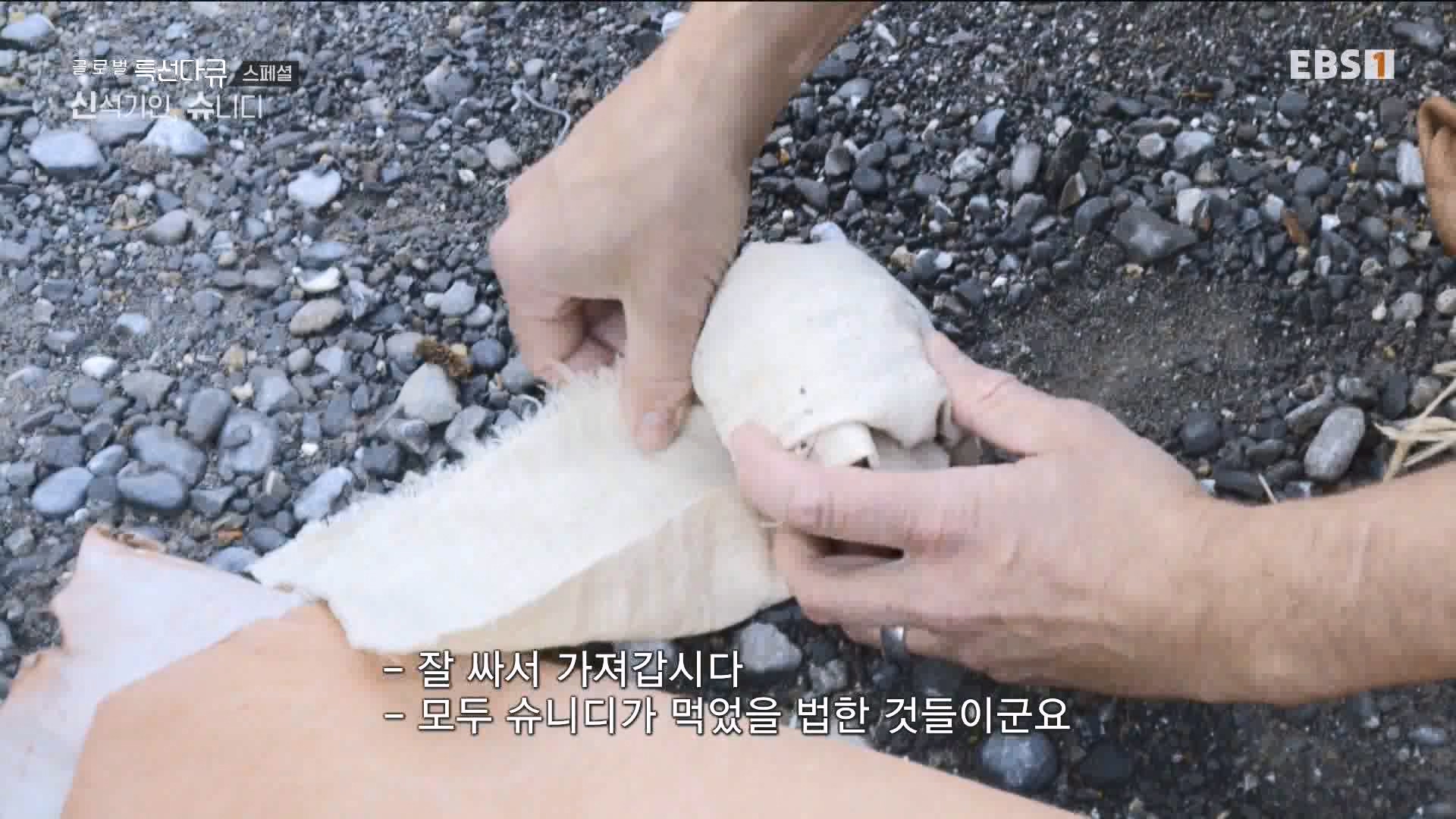 [다큐 스페셜] 신석기인, 슈니디.mp4_20230820_110536.100.jpg