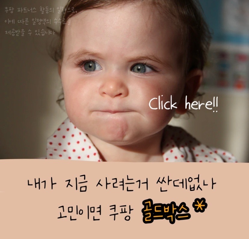 주말메뉴 저녁메뉴 식단 공유 추천 11