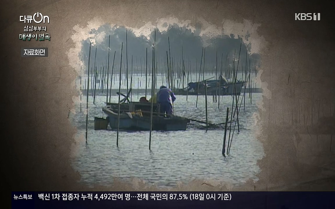 다큐 온.E131p-NEXT.mp4_20220319_173949.542.jpg