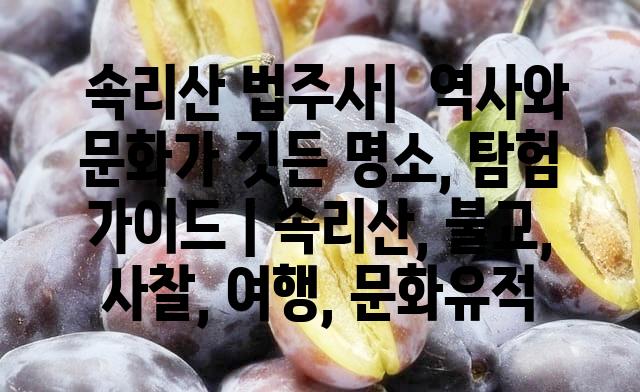 랜덤187