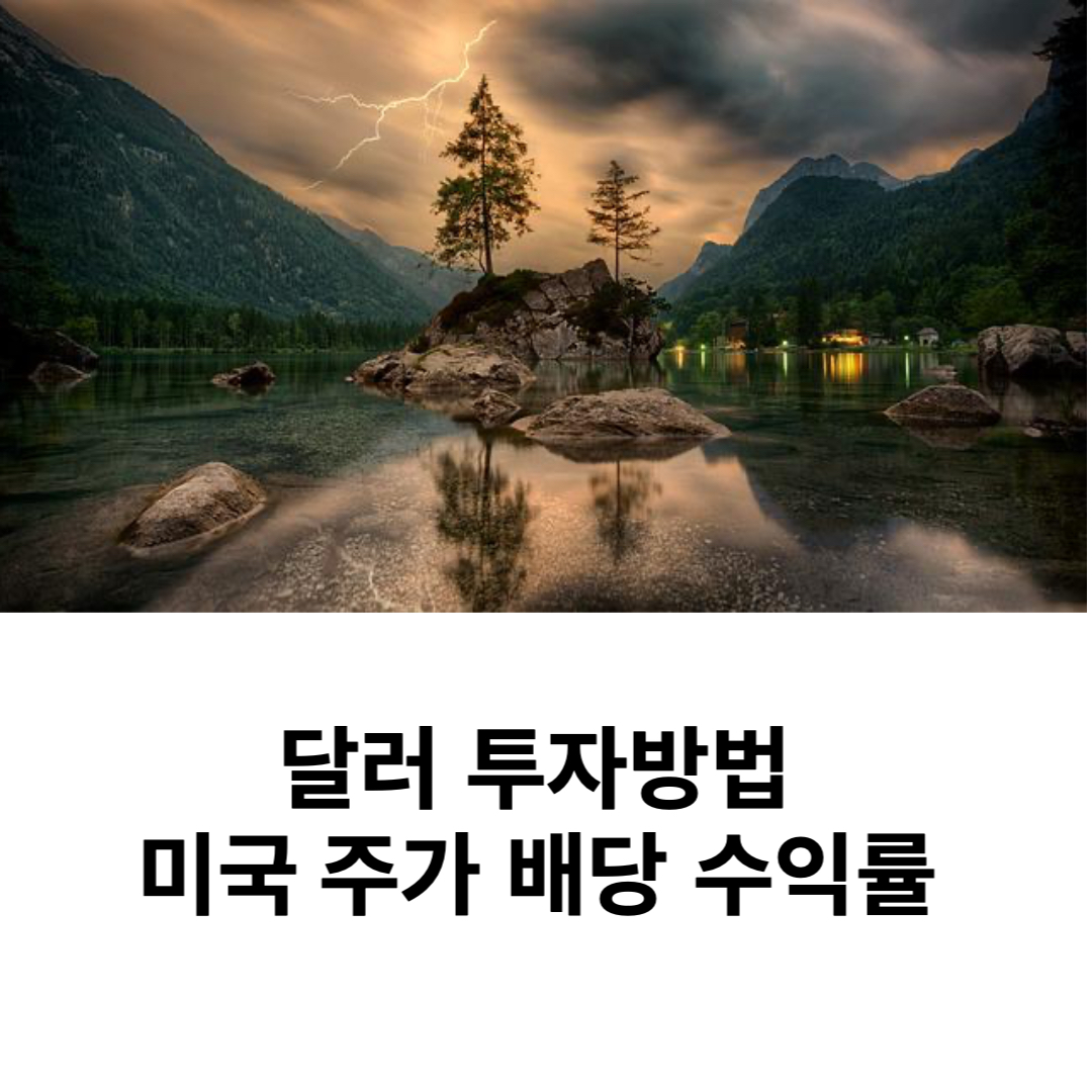  달러 투자방법  미국 주가 배당 수익률