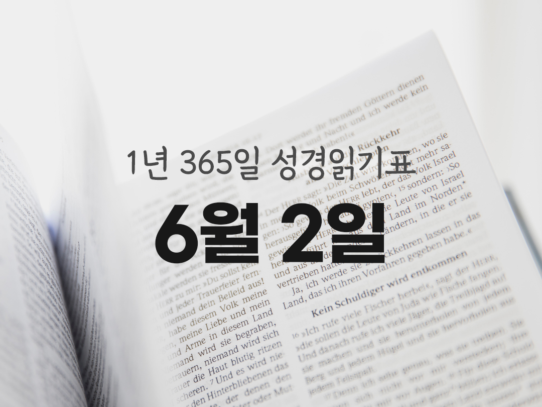 1년 365일 성경읽기표 6월 2일 욥기 성경읽기 진도표