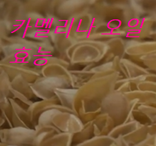 카멜리나-오일-효능